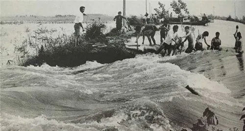 1954年长江特大洪水图片